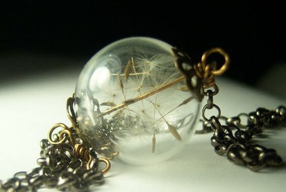 Emotionele Erfenis Voorouders