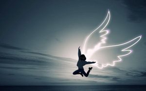 Geluk wordt gevonden in de waanzin van het leven