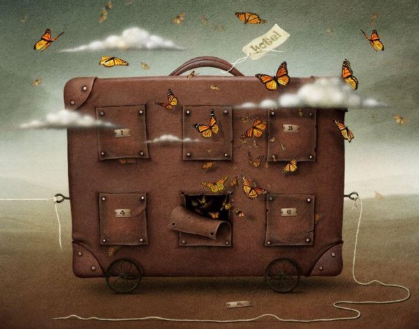 Volle Koffer Met Vlinders Eromheen Omdat Afstand Nemen Soms Noodzakelijk Is