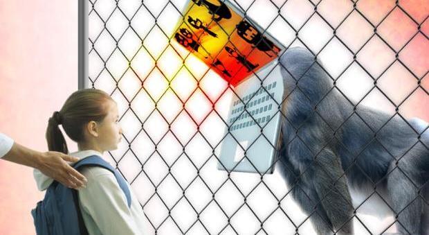 Jong Meisje Wordt Blootgesteld Aan Het Internet