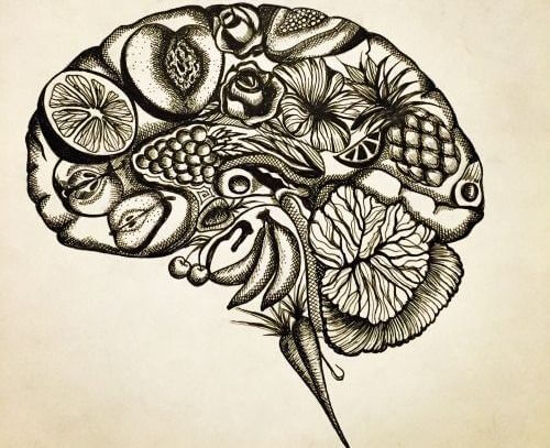 Hersenen Met Bloemen En Vruchten Erin Want Je Kunt Jezelf Ziek Denken, Maar Je Kunt Jezelf Ook Beter Denken