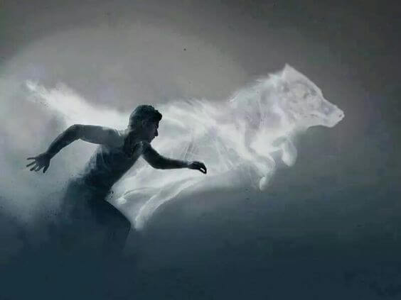 Man Die Rent Naast Een Wolf En Geen Partner Nodig Heeft