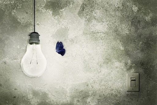 Vlinder Die Naar Een Licht Tot Vliegt