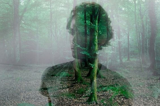 Schim Van Een Man In Het Bos
