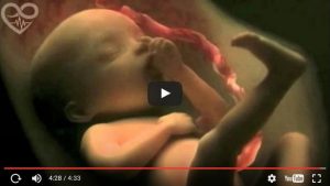 De verwekking en zwangerschap in een prachtige video