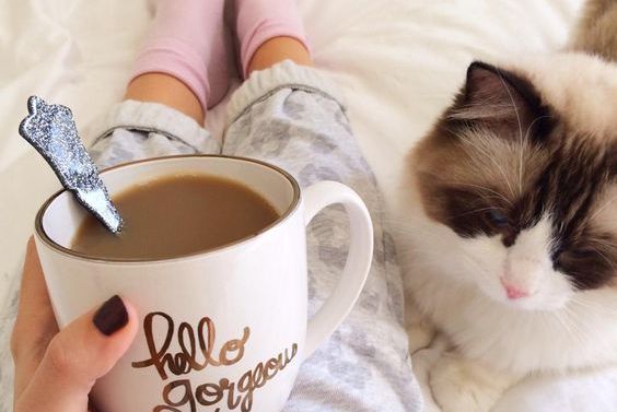 Meisje Dat Een Kop Koffie Drinkt Terwijl Haar Kat Naast Haar Ligt