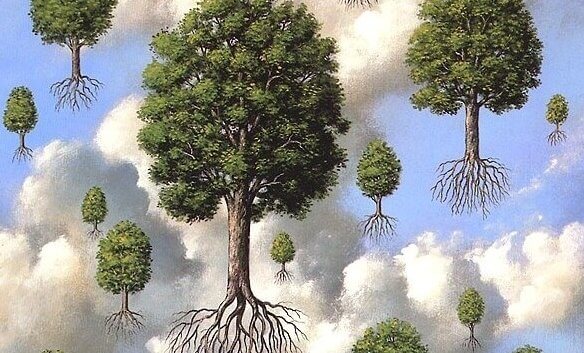 Bomen Die In De Lucht Hangen En Zeggen Je Kunt Je Dromen Waarmaken