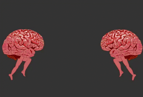 Twee Hersenen Die Tegen Elkaar Aan Lopen Als Symbool Voor Functionele Domheid