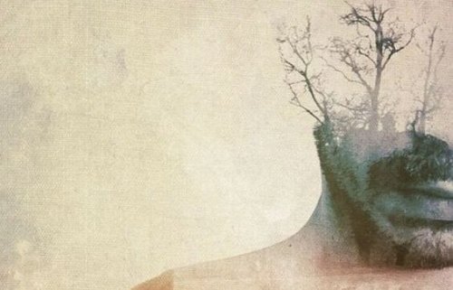 Man wiens hoofd maar voor de helft zichtbaar is, de andere helft bestaat uit bomen