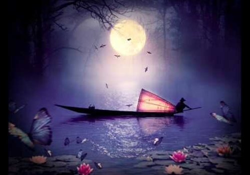 Een man die midden in de nacht zit te vissen op een meer dat vol met lotusbloemen zit