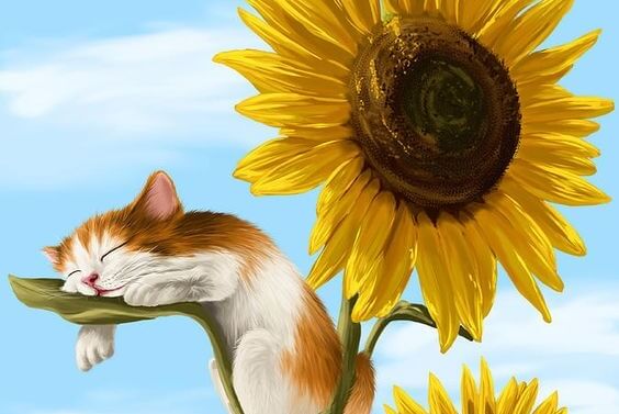 Een katje dat op het blad van een zonnebloem slaapt