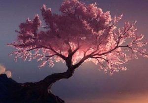 Zuiverende boomsoorten, volgens tao