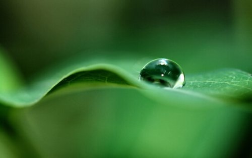Een regendruppel op een groen blad