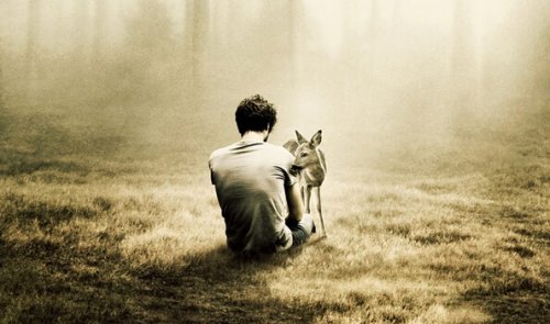 Man die alleen in het bos zit omdat hij last heeft van eenzaamheid en angst maar dan komt er een klein hertje naar hem toe