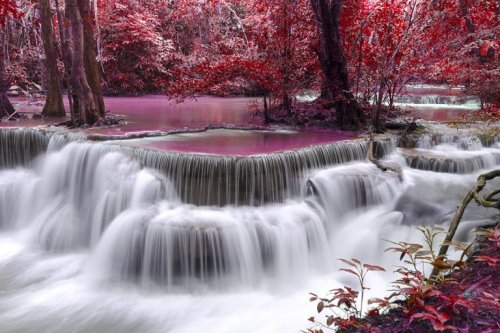 Waterval met roze bomen ernaast