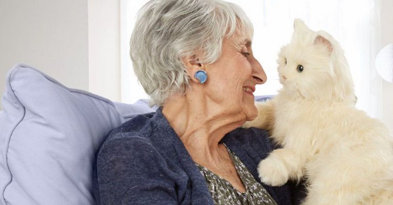 Voordelen van leven met een kat