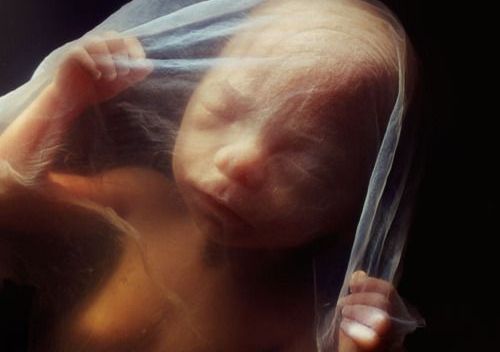 Een baby die nog niet geboren is