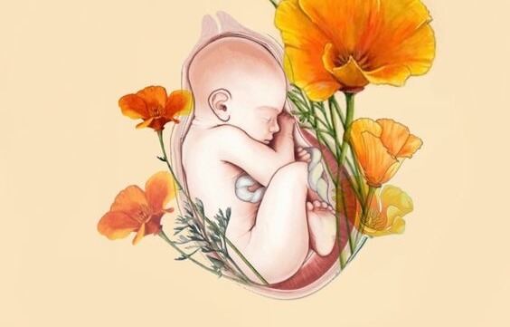 Een baby die nog niet geboren is, maar herinnering aan geboorte zal er niet zijn