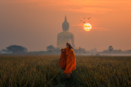 De giftige pijl: een boeddhistisch verhaal over leven in het nu