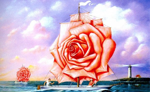 Een roos als zeil op een zeilboot