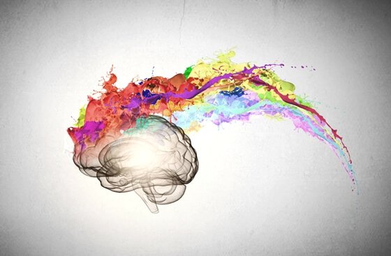 Hersenen waar allemaal kleuren uitkomen