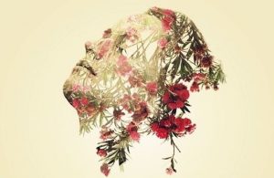 Drie stappen naar emotionele wijsheid