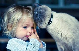 De kat als therapie: 5 voordelen van leven met een kat