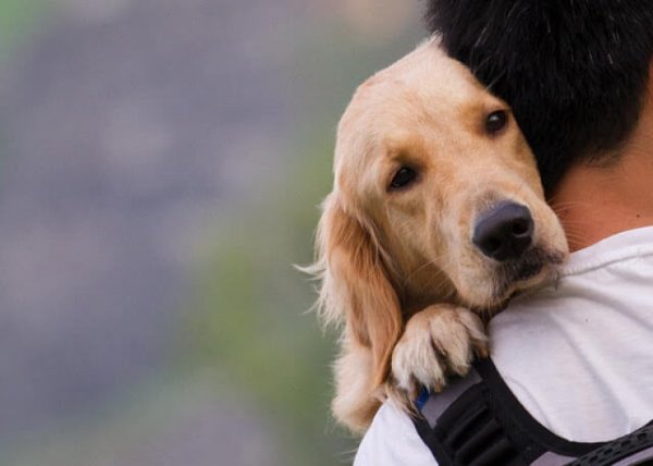 Hond die met zijn baasje knuffelt waardoor het hormoon oxytocine wordt vrijgelaten