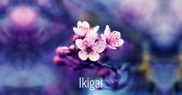 Ikigai
