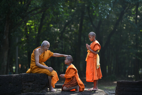 Jonge boeddhistische monniken die leren om te leven in het nu