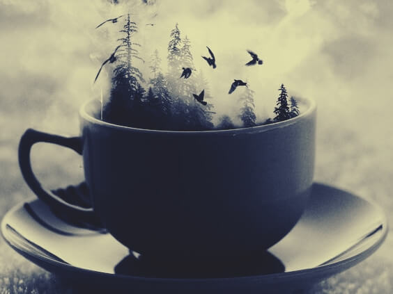 Genieten van koffie en de natuur