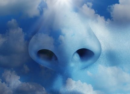 Een grote neus die aan middenrifademhaling doet