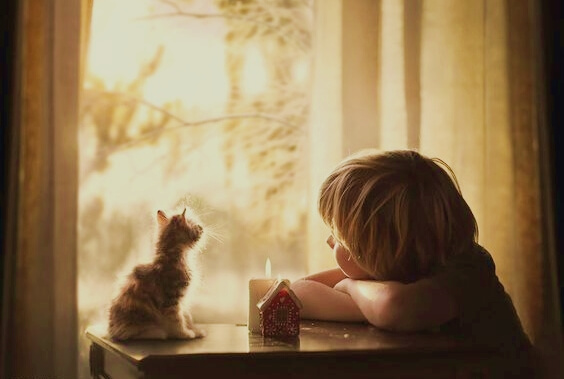 Klein jongetje dat samen met en klein poesje uit het raam kijkt