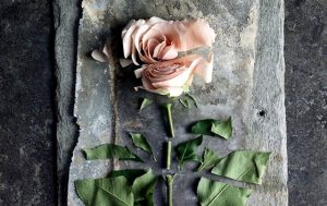 Passief geweld: diepe wonden die oppervlakkig lijken