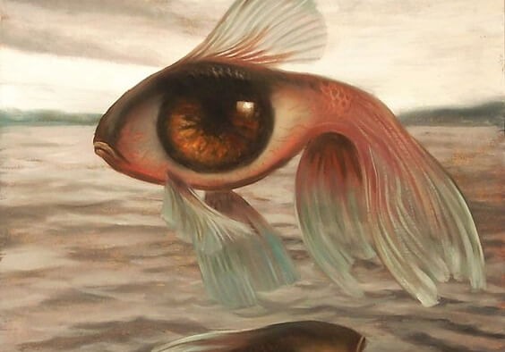 Vis wiens lichaam een oog is