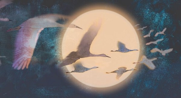 Vogels vliegen langs de maan