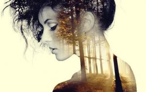 Wat gebeurt er met ons na 30 minuten stilte en eenzaamheid?