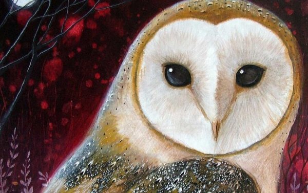 Een uil die waardigheid uitstraalt