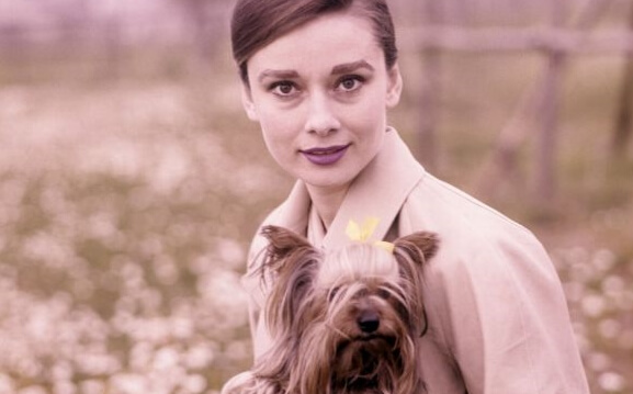 7 inspirerende uitdrukkingen van Audrey Hepburn