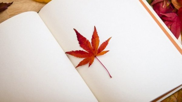 Blaadje dat bewaart wordt tussen de pagina's van een boek