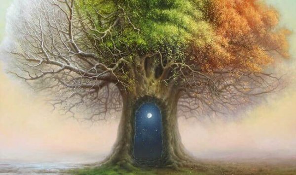 Boom met deur naar andere wereld