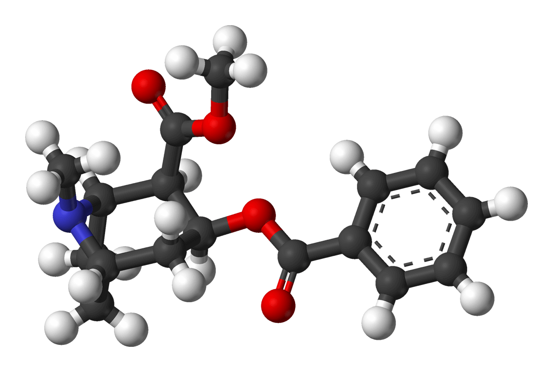Chemische samenstelling van cocaïne