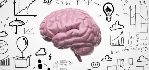 Het geheugen dat dingen opslaat