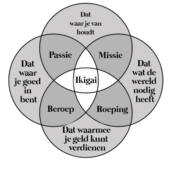 Ikigai grafiek