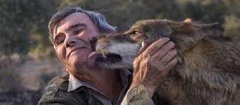 Man met wolf