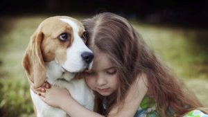 De genezende liefde van honden