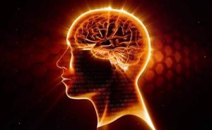 Wat zijn omega 3-vetzuren en waarom zijn ze goed voor de hersenen?