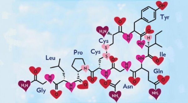 Chemie van de liefde zichtbaar in chemische verbindingen