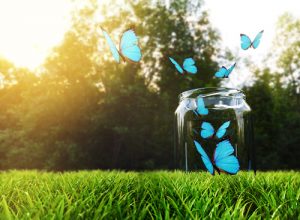 De gelukspot: hoe en waarom het werkt