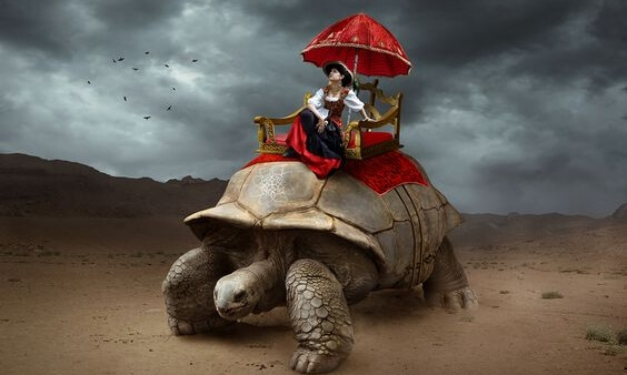 Vrouw die op een schildpad rijdt